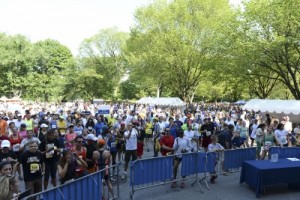 dsc_1511-400x267