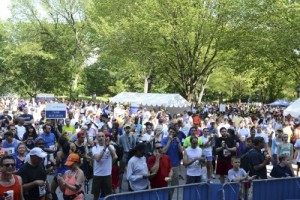 dsc_1519-400x267