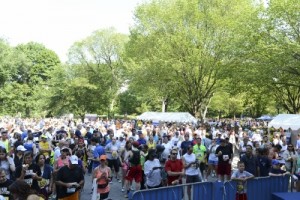 dsc_1527-400x267
